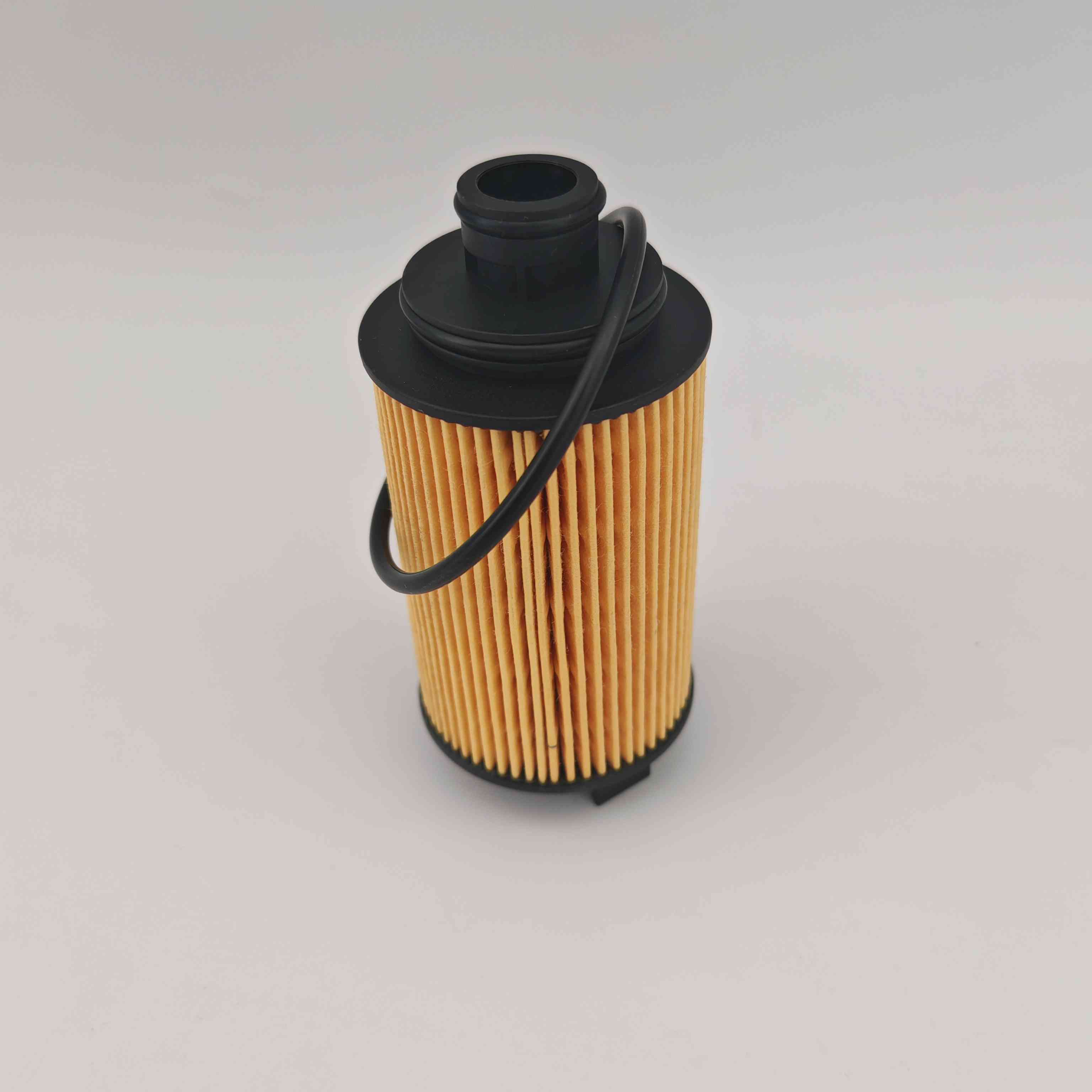 E4G16-1012040 FOP292 MD-827 EO38010 Filter i vajit për Chery