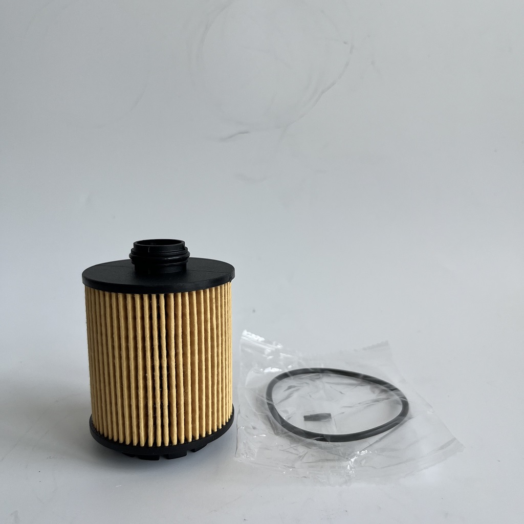 HU7043Z 1612565980 Filter i vajit për petgeot
